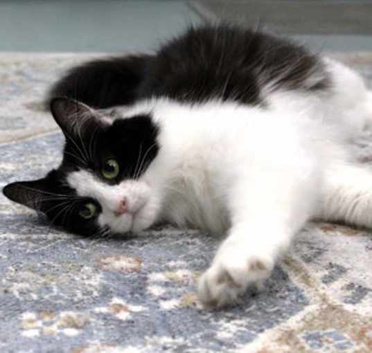 Photo of Sooner