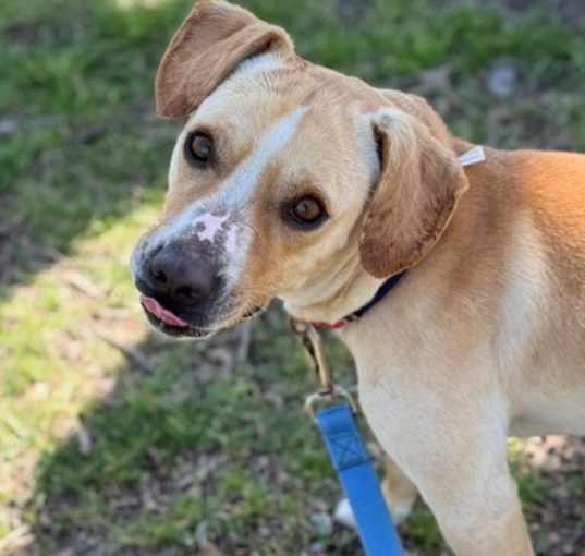 Photo of Gus