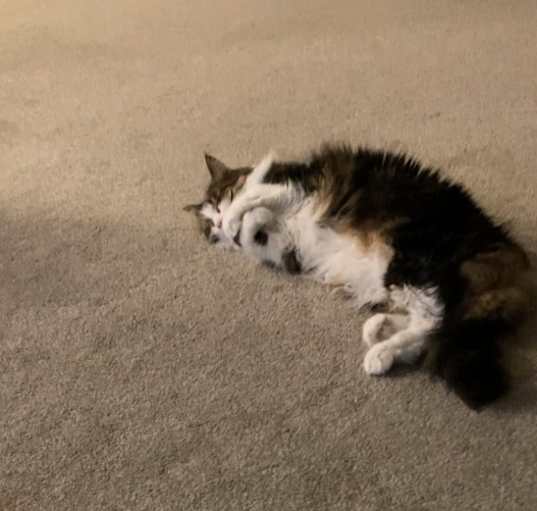 Photo of Sophie