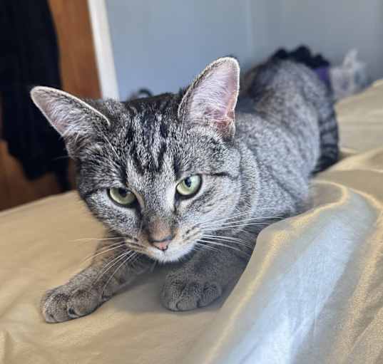 Photo of Moonie