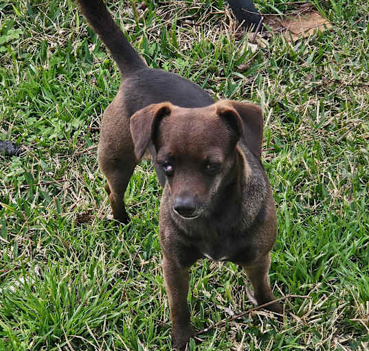 Photo of Franny