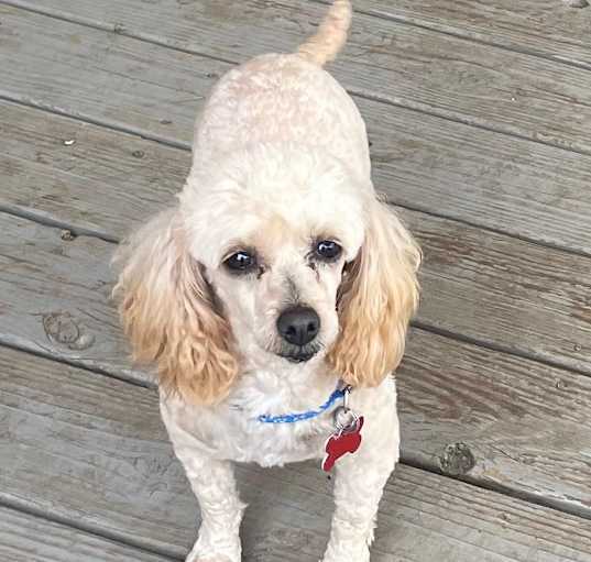Photo of Tina