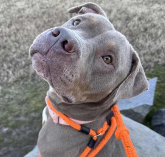 Photo of Patsy