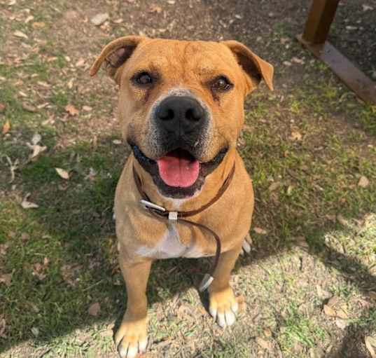 Photo of BUSTER