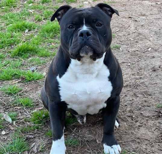 Photo of Kilo