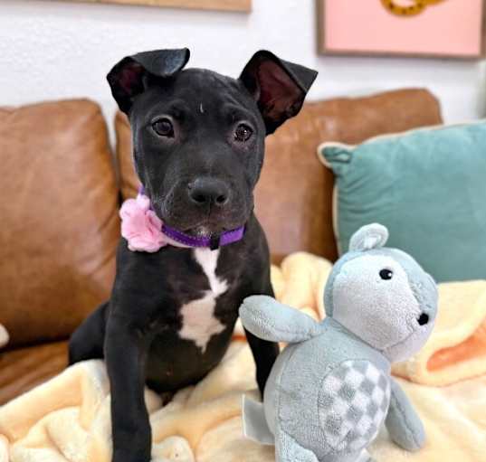 Photo of Jolene Jellybean