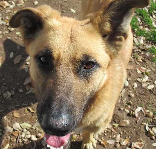 Photo of Jack