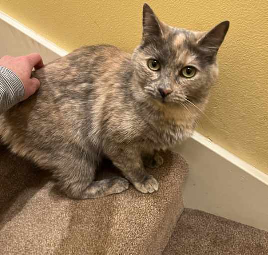 Photo of Tiny
