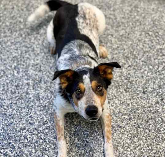 Photo of Reggie