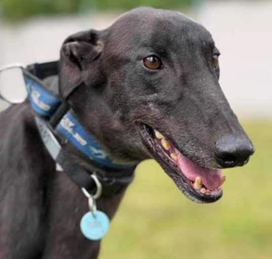 Photo of Sam