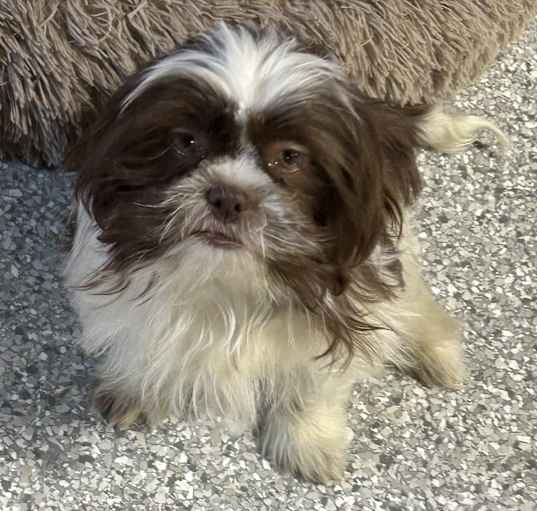 Photo of Gabby