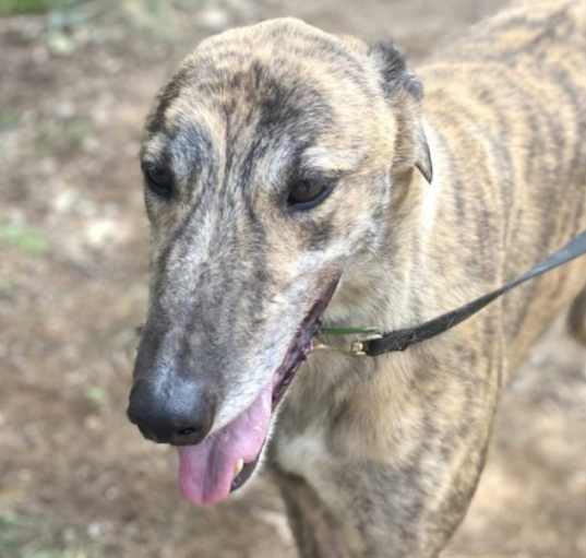 Photo of Jazz