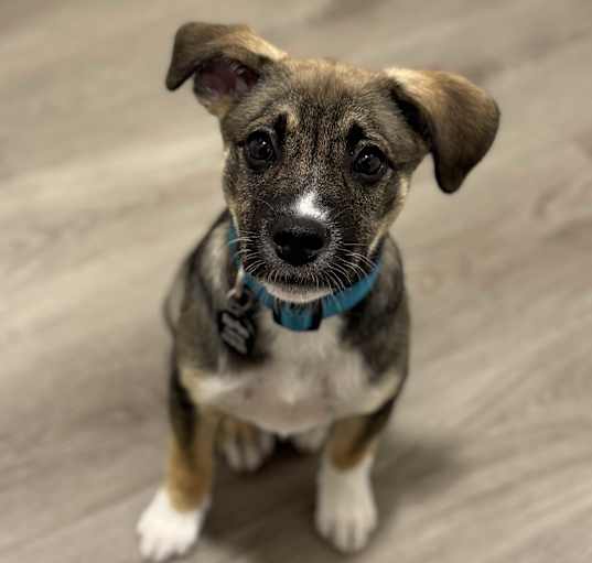 Photo of Zora