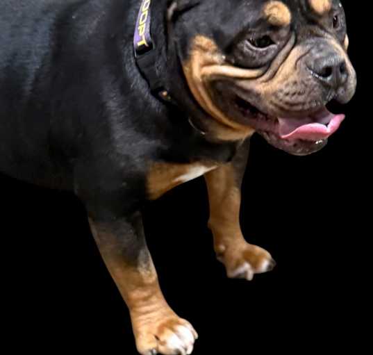 Photo of Brohm