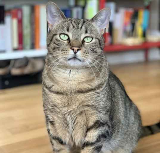 Photo of Punkin