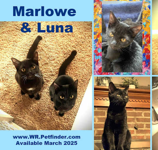 Photo of Marlowe N Luna - 2 for 1