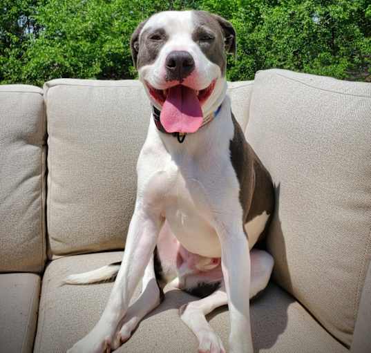 Photo of Snoop