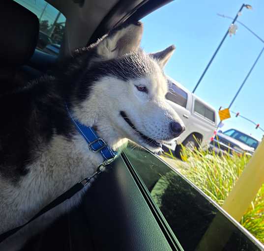 Photo of Max