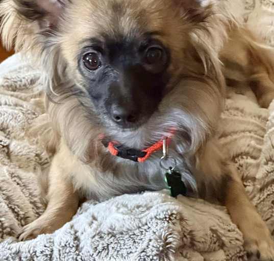 Photo of Zach