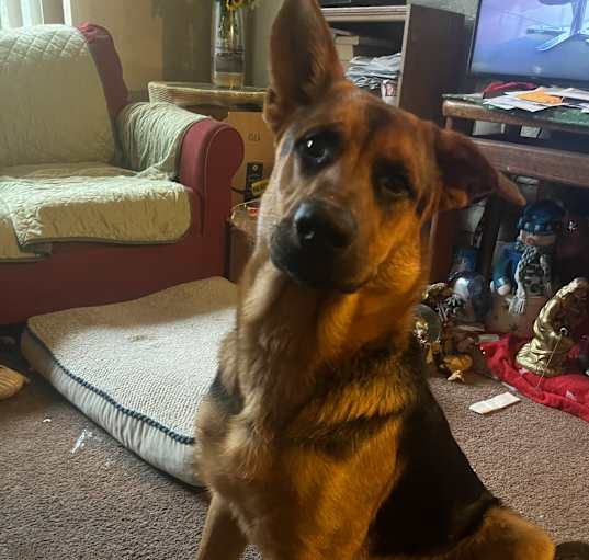 Photo of Bucky
