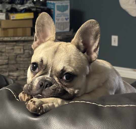 Photo of Hazel