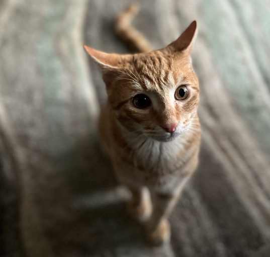 Photo of Jesse