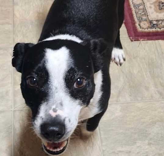 Photo of Duke