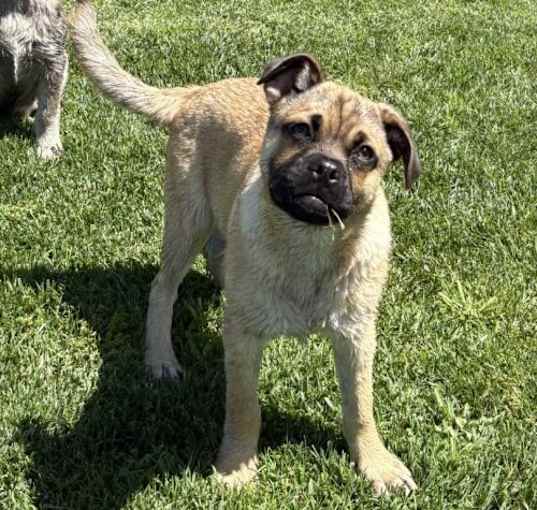 Photo of Theodore