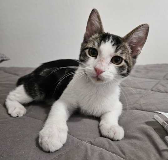 Photo of Jax