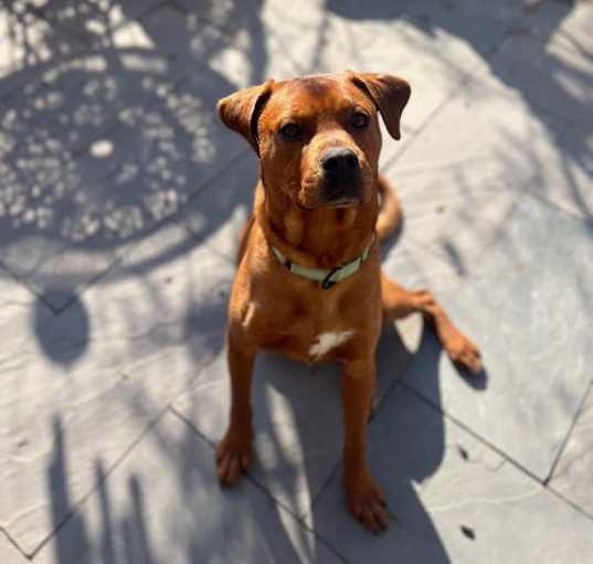 Photo of Max