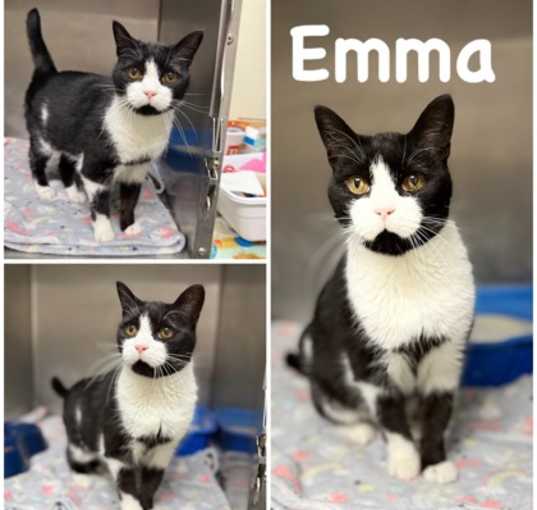 Photo of Emma