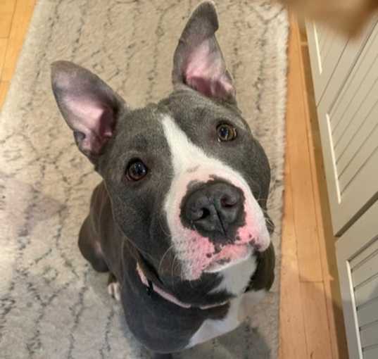 Photo of MR.G- IN FOSTER