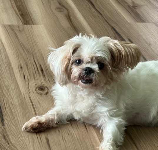 Photo of Saddie
