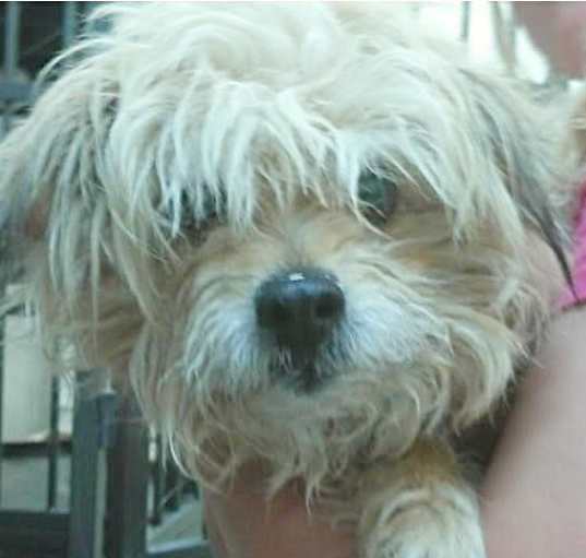Photo of Lexi