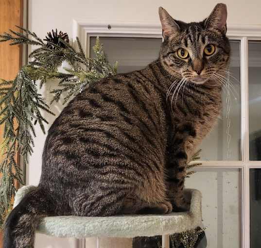 Photo of Jasper