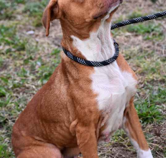 Photo of Zena