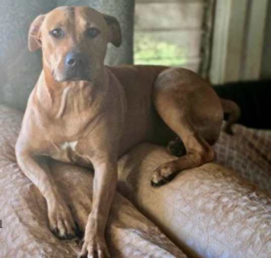 Photo of Lulu