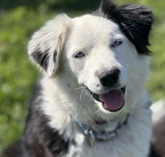 Photo of CHLOE