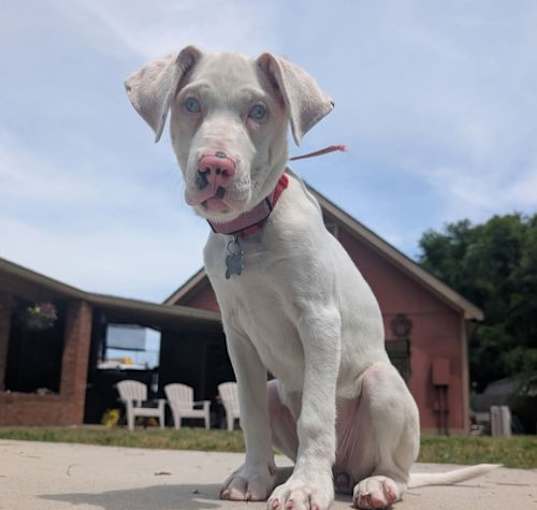 Photo of Adora