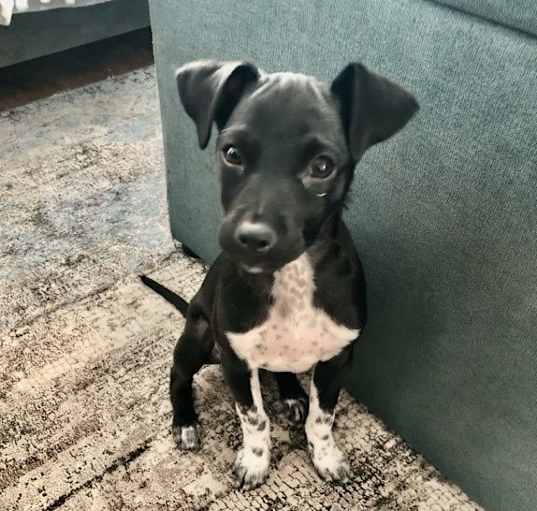 Photo of Kiki