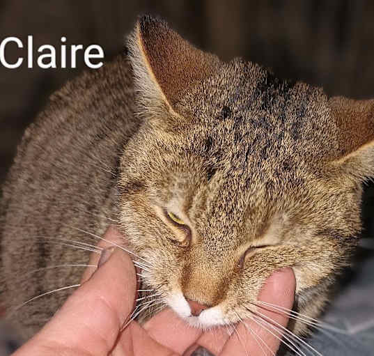 Photo of Claire