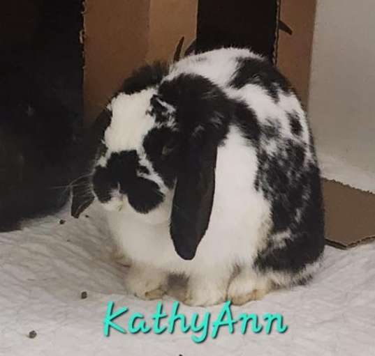Photo of Kathy Ann