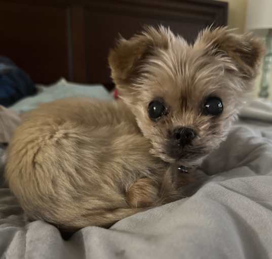 Photo of Chloe