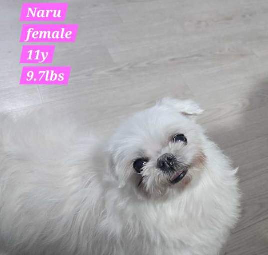 Photo of Naru
