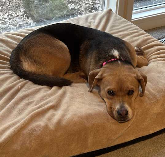 Photo of Zoey