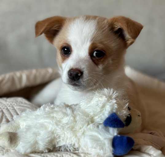 Photo of Wally