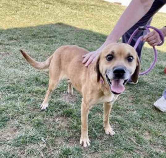 Photo of Baxter