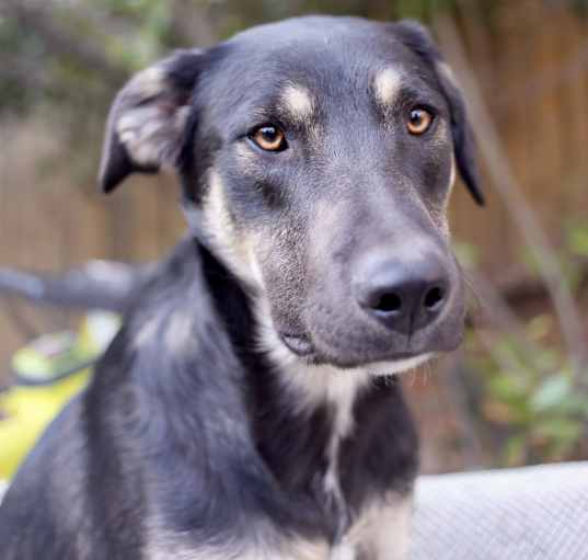 Photo of Ozy