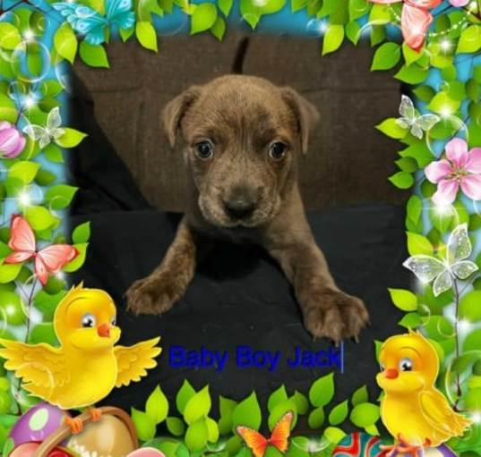 Photo of Jack