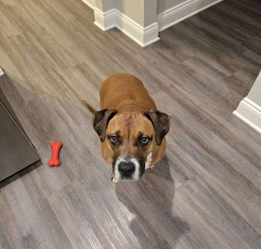 Photo of Lulu
